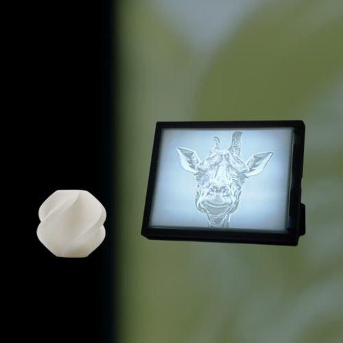 Lithophanie 3D BILD